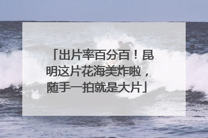 出片率百分百！昆明这片花海美炸啦，随手一拍就是大片