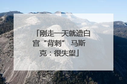 刚走一天就遭白宫“背刺” 马斯克：很失望