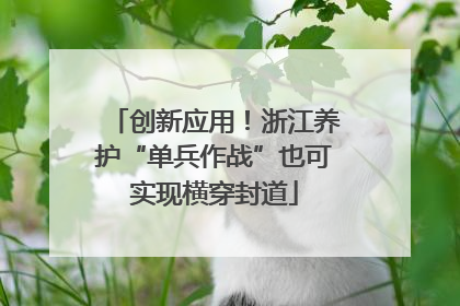 创新应用！浙江养护“单兵作战”也可实现横穿封道