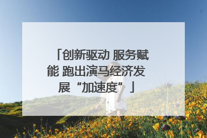 创新驱动 服务赋能 跑出演马经济发展“加速度”