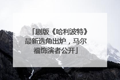 剧版《哈利波特》最新选角出炉，马尔福饰演者公开