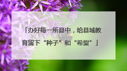 办好每一所县中，给县域教育留下“种子”和“希望”