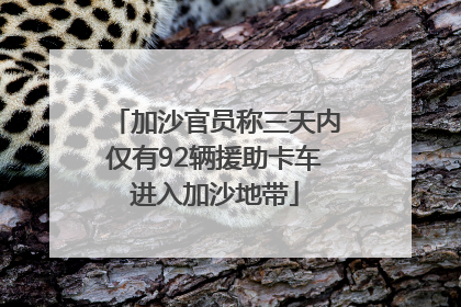 加沙官员称三天内仅有92辆援助卡车进入加沙地带