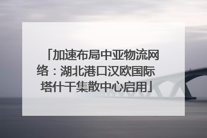 加速布局中亚物流网络：湖北港口汉欧国际塔什干集散中心启用