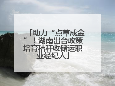 助力“点草成金”！湖南出台政策培育秸秆收储运职业经纪人