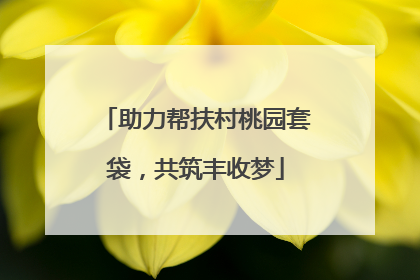 助力帮扶村桃园套袋，共筑丰收梦