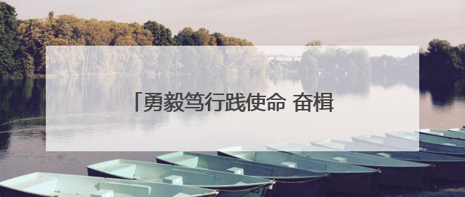 勇毅笃行践使命 奋楫扬帆启新程——神木市委社会工作部工作纪实
