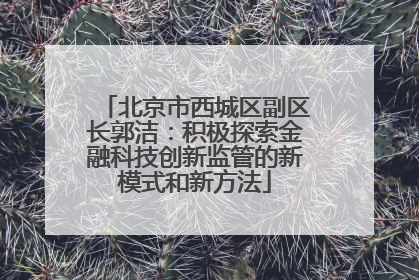 北京市西城区副区长郭洁：积极探索金融科技创新监管的新模式和新方法