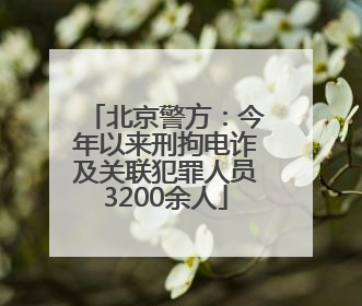 北京警方：今年以来刑拘电诈及关联犯罪人员3200余人