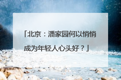 北京：潘家园何以悄悄成为年轻人心头好？