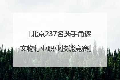 北京237名选手角逐文物行业职业技能竞赛