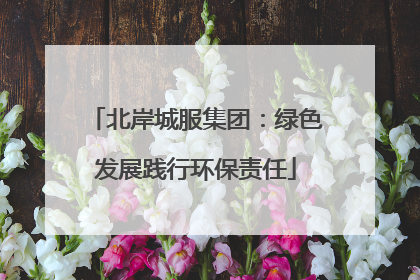 北岸城服集团：绿色发展践行环保责任