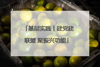基层实践丨建党建联盟 聚振兴功能