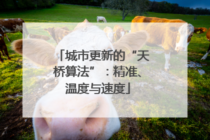 城市更新的“天桥算法”：精准、温度与速度