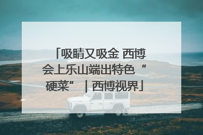 吸睛又吸金 西博会上乐山端出特色“硬菜”｜西博视界