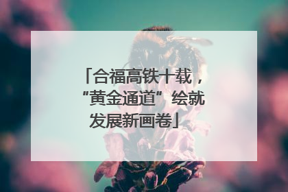 合福高铁十载，“黄金通道”绘就发展新画卷