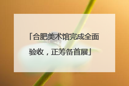 合肥美术馆完成全面验收，正筹备首展