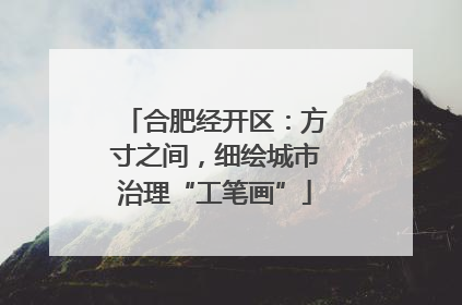 合肥经开区：方寸之间，细绘城市治理“工笔画”