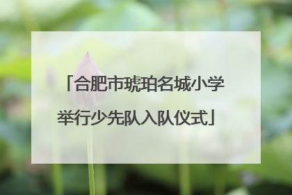 合肥市琥珀名城小学举行少先队入队仪式