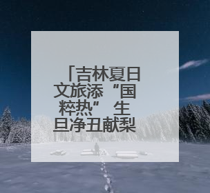 吉林夏日文旅添“国粹热” 生旦净丑献梨园盛宴