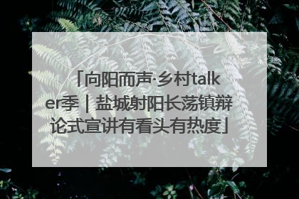 向阳而声·乡村talker季｜盐城射阳长荡镇辩论式宣讲有看头有热度