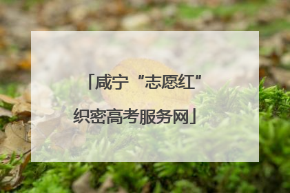 咸宁“志愿红”织密高考服务网