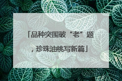 品种突围破“老”题，珍珠油桃写新篇