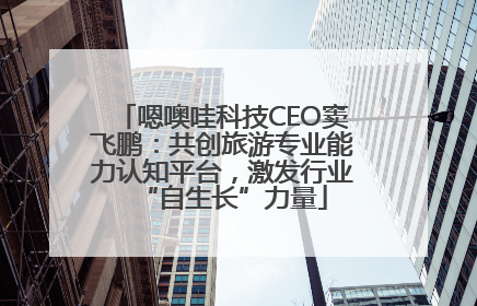 嗯噢哇科技CEO窦飞鹏：共创旅游专业能力认知平台，激发行业“自生长”力量