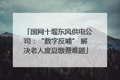 国网十堰东风供电公司：“数字反哺” 解决老人度夏缴费难题