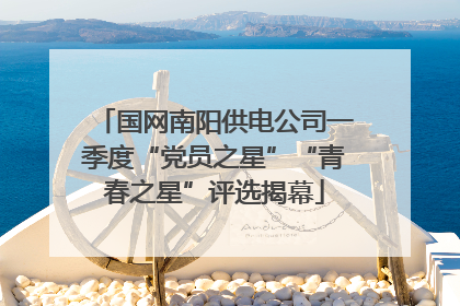国网南阳供电公司一季度“党员之星”“青春之星”评选揭幕