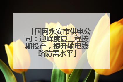 国网永安市供电公司：迎峰度夏工程按期投产，提升输电线路防雷水平