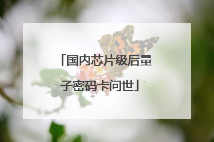 国内芯片级后量子密码卡问世