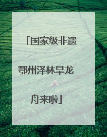 国家级非遗鄂州泽林旱龙舟来啦