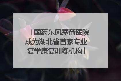 国药东风茅箭医院成为湖北省首家专业复学康复训练机构