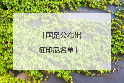 国足公布出征印尼名单