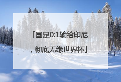 国足0:1输给印尼，彻底无缘世界杯