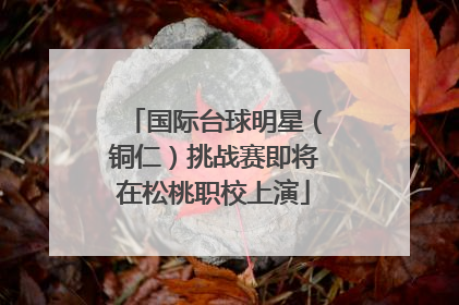 国际台球明星（铜仁）挑战赛即将在松桃职校上演