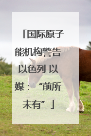国际原子能机构警告以色列 以媒：“前所未有”