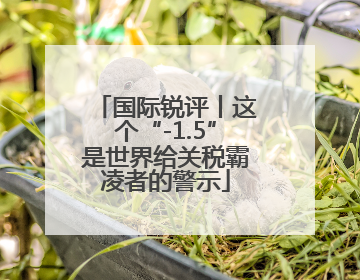 国际锐评丨这个“-1.5”是世界给关税霸凌者的警示