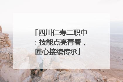 四川仁寿二职中：技能点亮青春，匠心接续传承