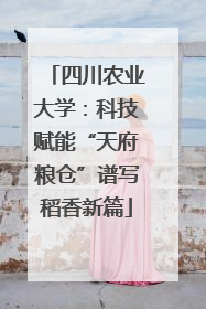 四川农业大学：科技赋能“天府粮仓”谱写稻香新篇