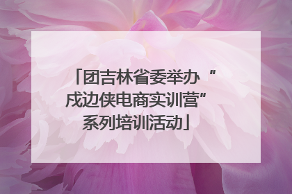 团吉林省委举办“戍边侠电商实训营”系列培训活动