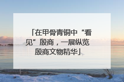 在甲骨青铜中“看见”殷商，一展纵览殷商文物精华