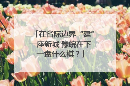 在省际边界“建”一座新城 豫皖在下一盘什么棋？
