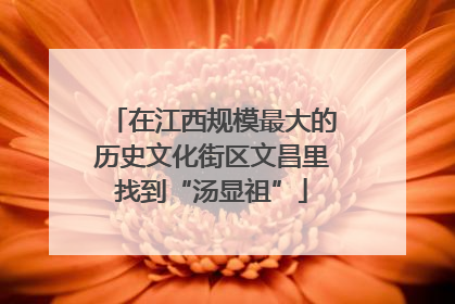 在江西规模最大的历史文化街区文昌里找到“汤显祖”