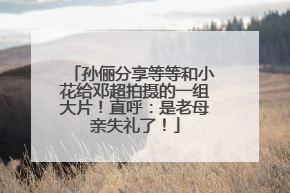 孙俪分享等等和小花给邓超拍摄的一组大片！直呼：是老母亲失礼了！