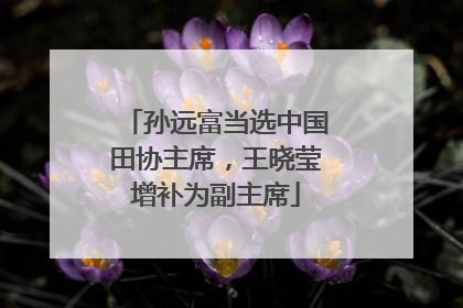 孙远富当选中国田协主席，王晓莹增补为副主席