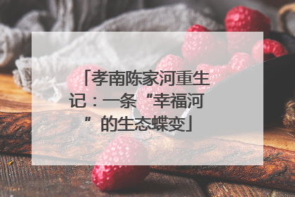 孝南陈家河重生记：一条“幸福河”的生态蝶变