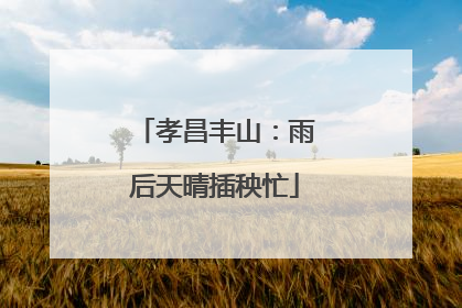 孝昌丰山：雨后天晴插秧忙