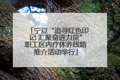 宁夏“追寻红色印记 汇聚奋进力量”职工区内疗休养线路推介活动举行